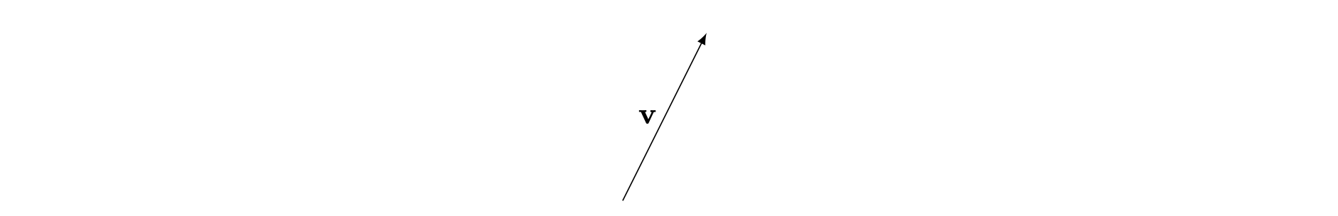 A picture of an arrow, with label v in bold.